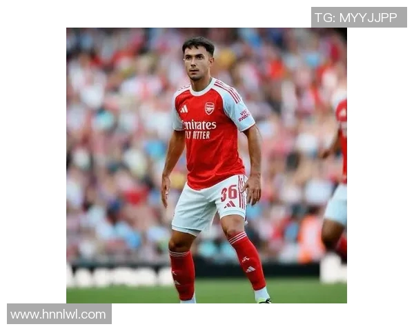 2019年利物浦与诺维奇精彩对决全程回顾与分析